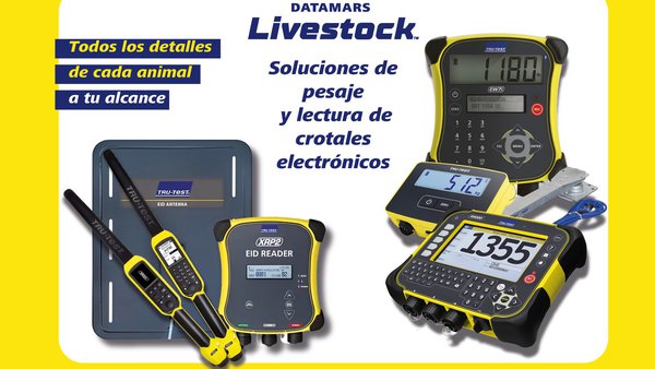 Identificación electrónica en vacún extensivo con Datamars: Unha ferramenta clave para o gandeiro