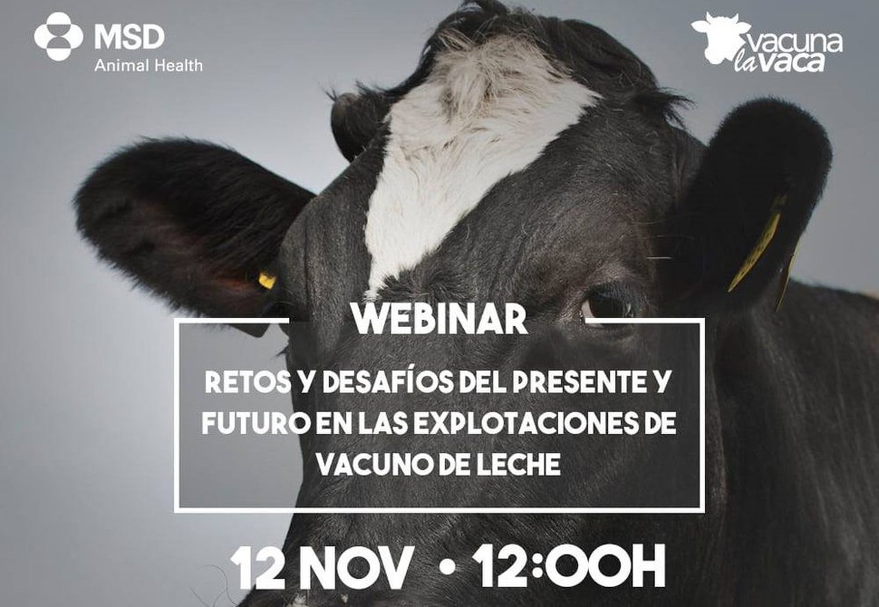 Todo listo para o segundo webinar da serie “Rumiando los jueves” de MSD Animal Health