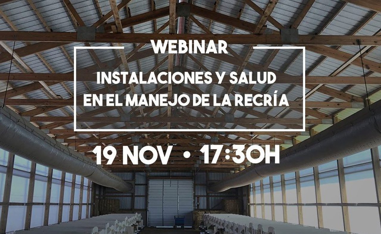 Este xoves, terceiro webinario da serie “Rumiando los jueves” de MSD Animal Health
