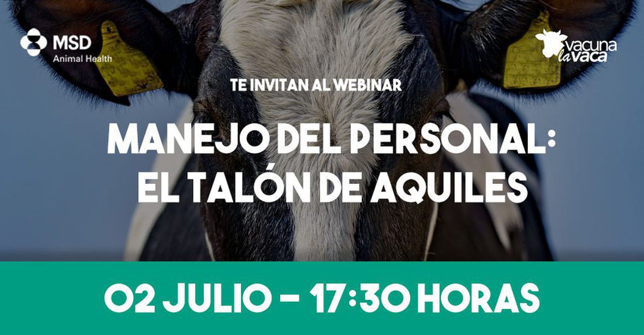 El manejo del personal y del estrés por calor, temáticas fundamentales de los próximos webinarios de MSD Animal Health