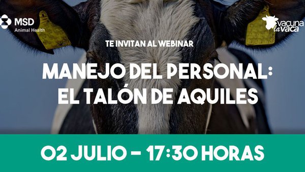 O manexo do persoal e do estrés por calor, temáticas fundamentais dos próximos webinarios de MSD Animal Health