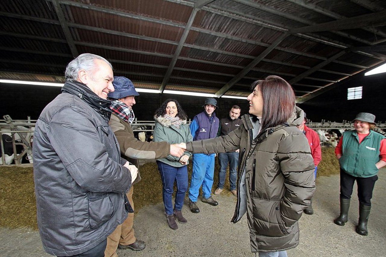 Pontevedra podería ser declarada zona libre de tuberculose bovina