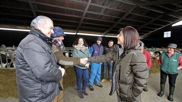 Pontevedra podería ser declarada zona libre de tuberculose bovina