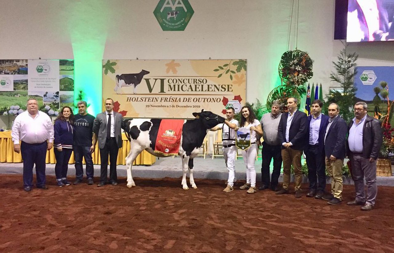 Chrome 6230, novilla gran campeona del VI Concurso Micaelense de Otoño