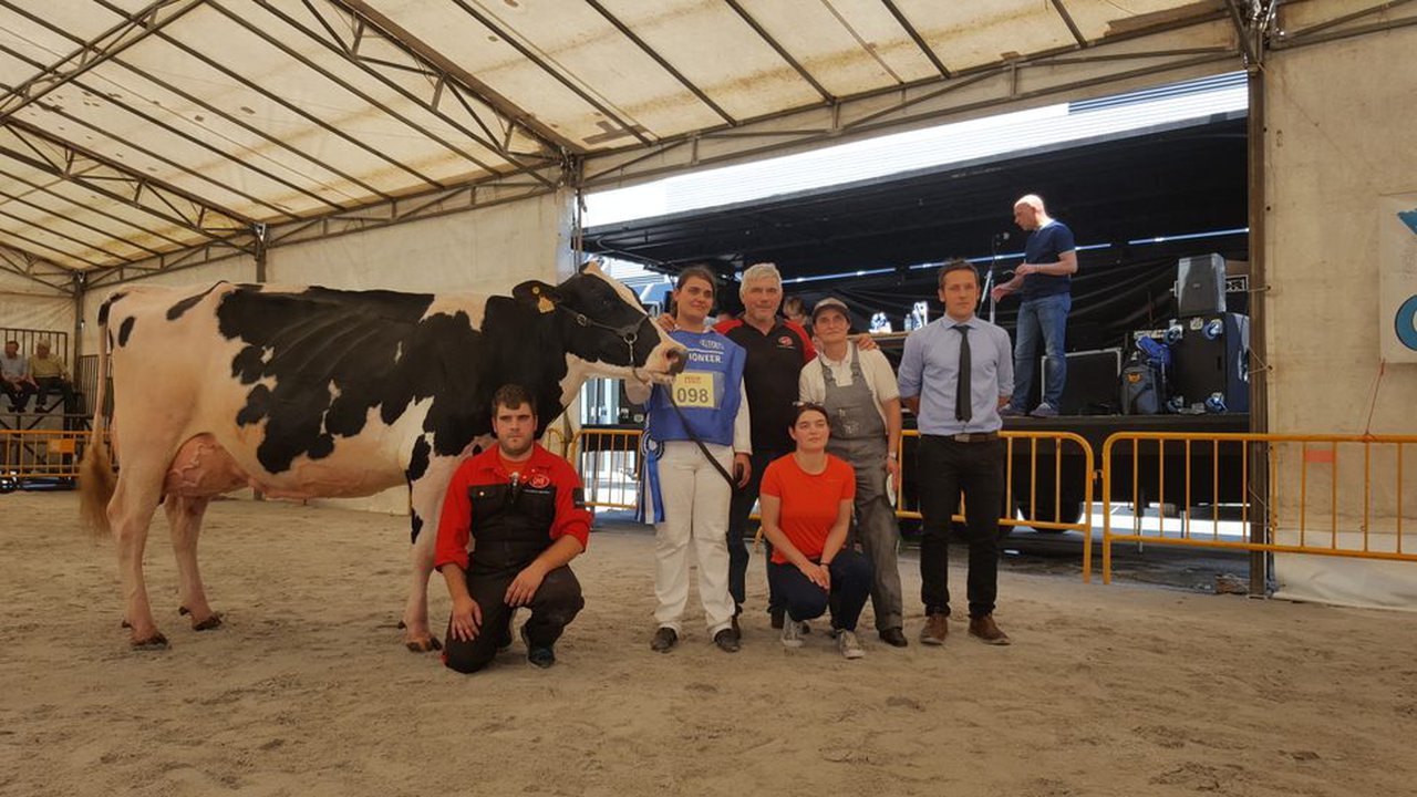 Manteiga Shottle Luna, vaca gran campiona Feiradeza 2018