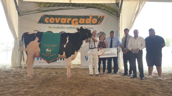 Pereira Archival M&M Camilla  proclámase vaca gran campiona da Agrosemana 2018
