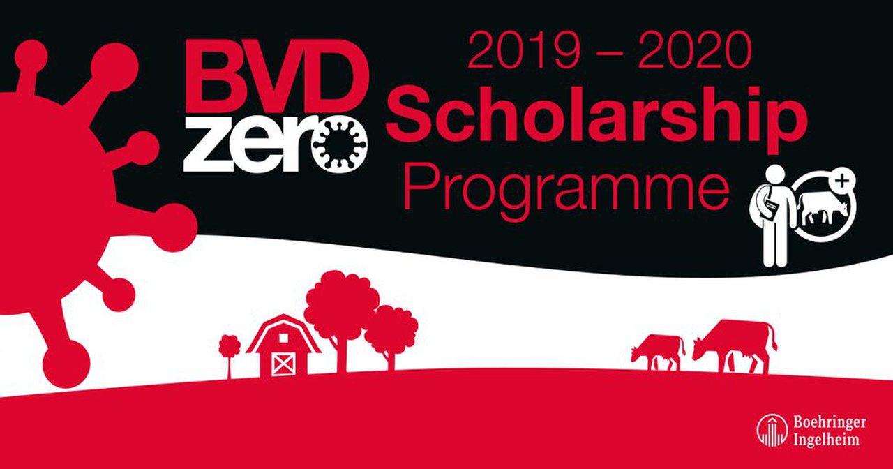 Convocadas as bolsas BVD Zero para estudantes de veterinaria