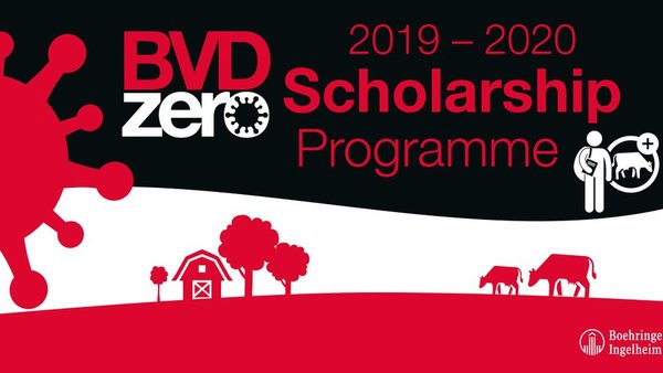 Convocadas as bolsas BVD Zero para estudantes de veterinaria