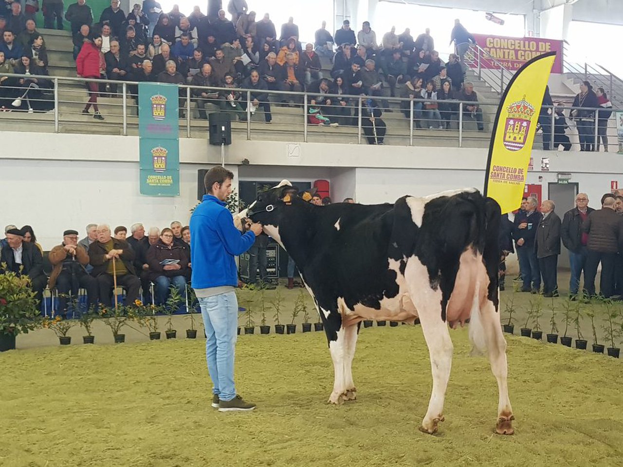 El volumen de negocio superó en Santa Comba los 31.000 €