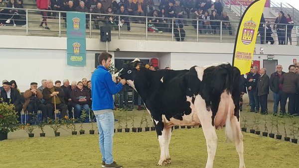 O volume de negocio superou en Santa Comba os 31.000 €