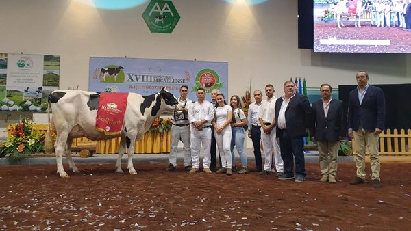 ORP McCutchen Maia se impone en la competición frisona de San Miguel