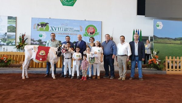 San Miguel acogió esta mañana una nueva edición del Concurso Juvenil Micaelense