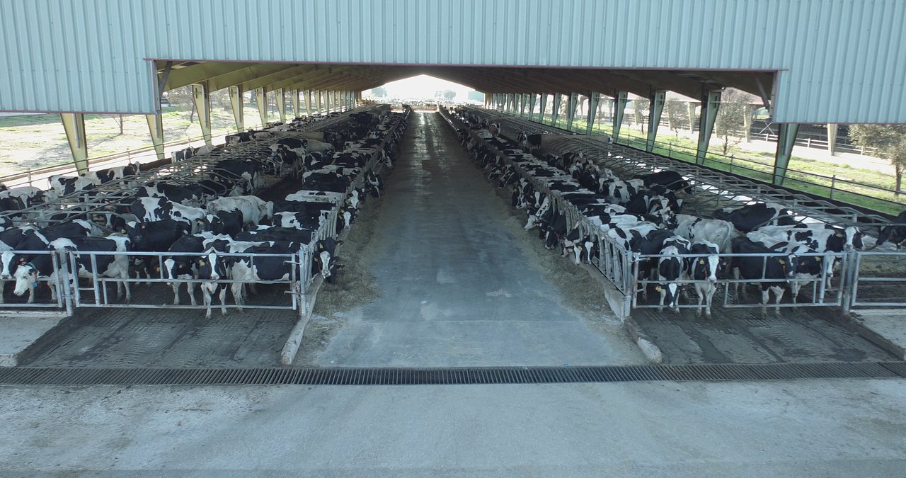 Lactalis estudará co CSIC reducir as emisións de efecto invernadoiro das súas granxas