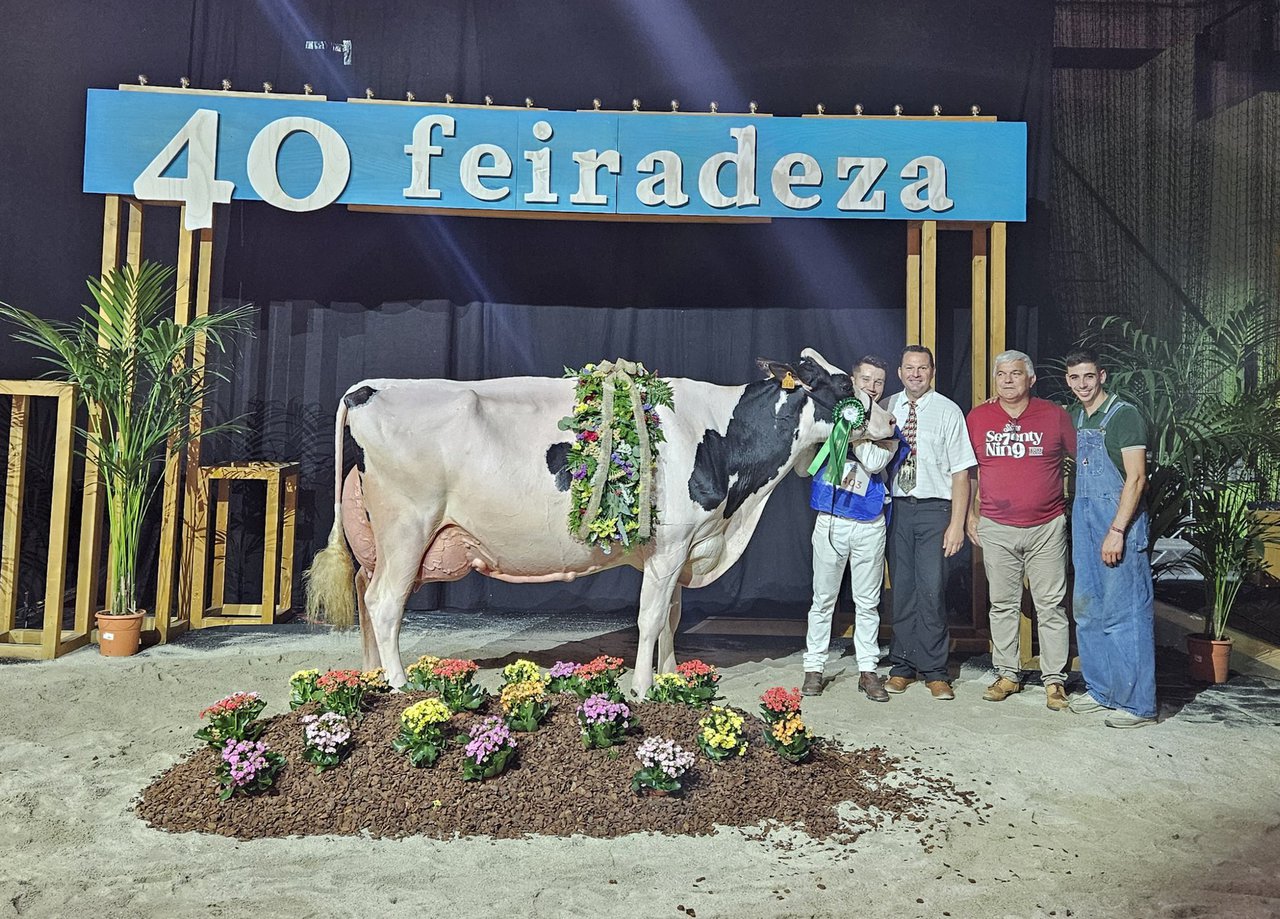 Kergo Ozalid se corona como vaca gran campeona en el 40.º concurso de Feiradeza