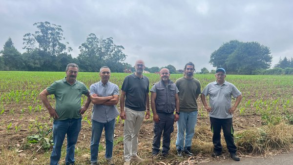Medio Rural promove en Arzúa unha xornada para reducir o uso de fitosanitarios no millo