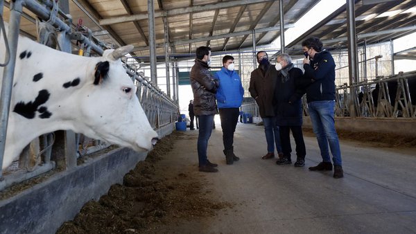 A Xunta destinará 37,5 millóns de euros ás axudas para a incorporación de mozos á actividade agrogandeira e para a mellora de explotacións
