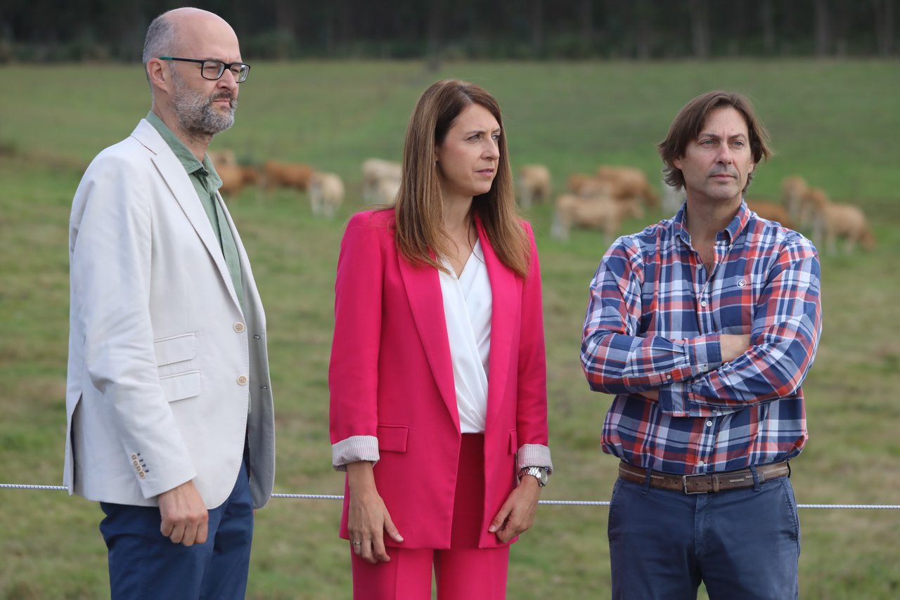 Medio Rural avanza una segunda subasta de ejemplares de Rubia Gallega en el CIAM tras los buenos resultados de la celebrada en julio