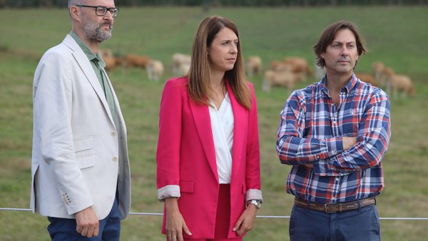 Medio Rural avanza una segunda subasta de ejemplares de Rubia Gallega en el CIAM tras los buenos resultados de la celebrada en julio