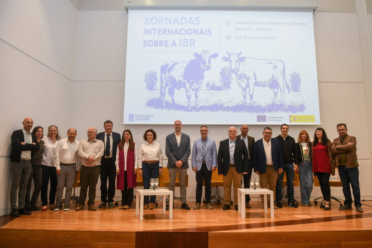 Las Jornadas Internacionales sobre la IBR reúnen en Santiago a expertos de toda Europa