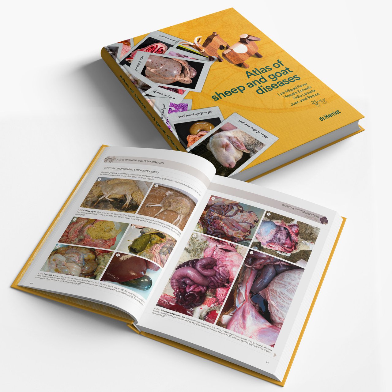 Publicado un novo libro sobre patoloxía ovina e caprina