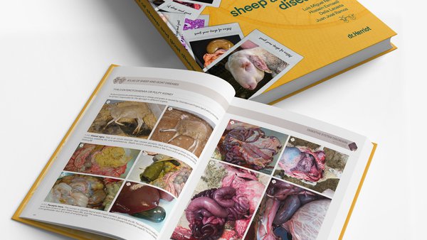 Publicado un nuevo libro sobre patología ovina y caprina