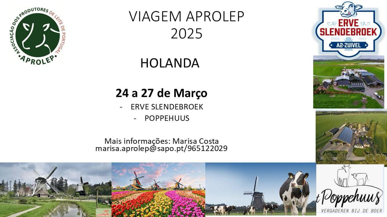 A Aprolep organiza unha viaxe a Holanda do 24 ao 27 de marzo