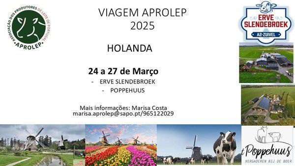 La Aprolep organiza un viaje a Holanda del 24 al 27 de marzo