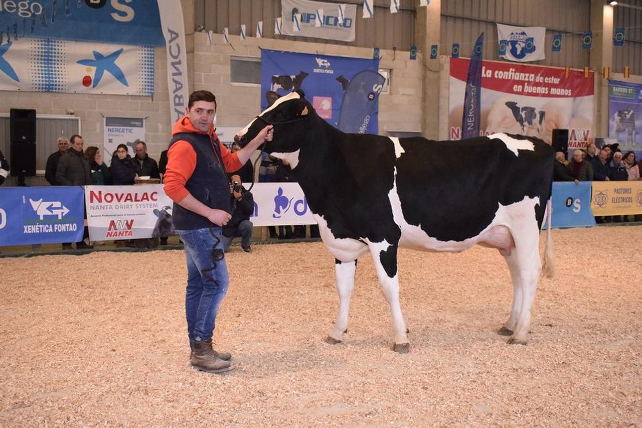 Carballo De Baixo Delano Chiva alcanza o prezo de venda máis alto na poxa da Moexmu