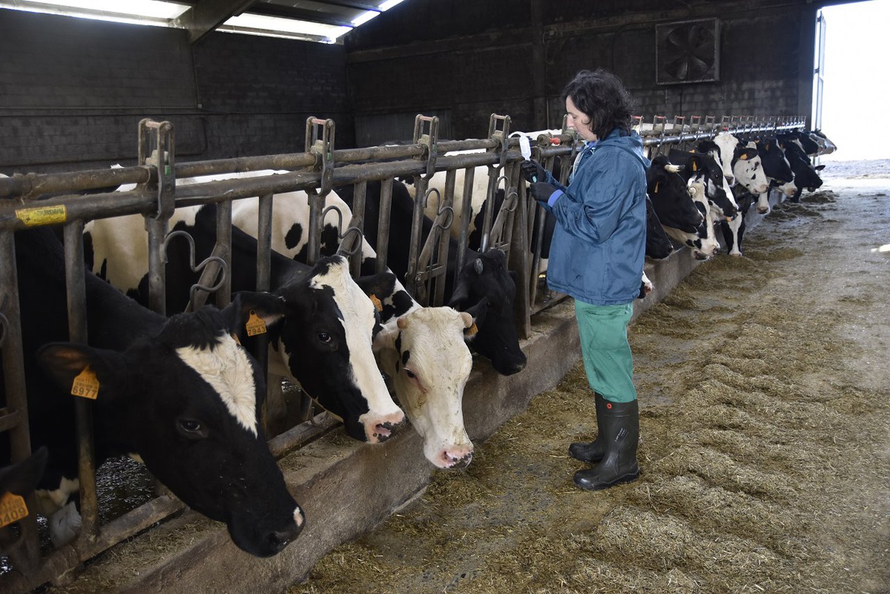 As ADSG poderán acceder este ano en Galicia a axudas por un total de 2,28 millóns de euros