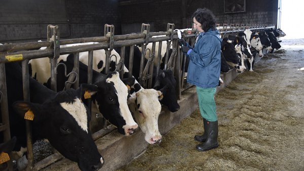 As ADSG poderán acceder este ano en Galicia a axudas por un total de 2,28 millóns de euros