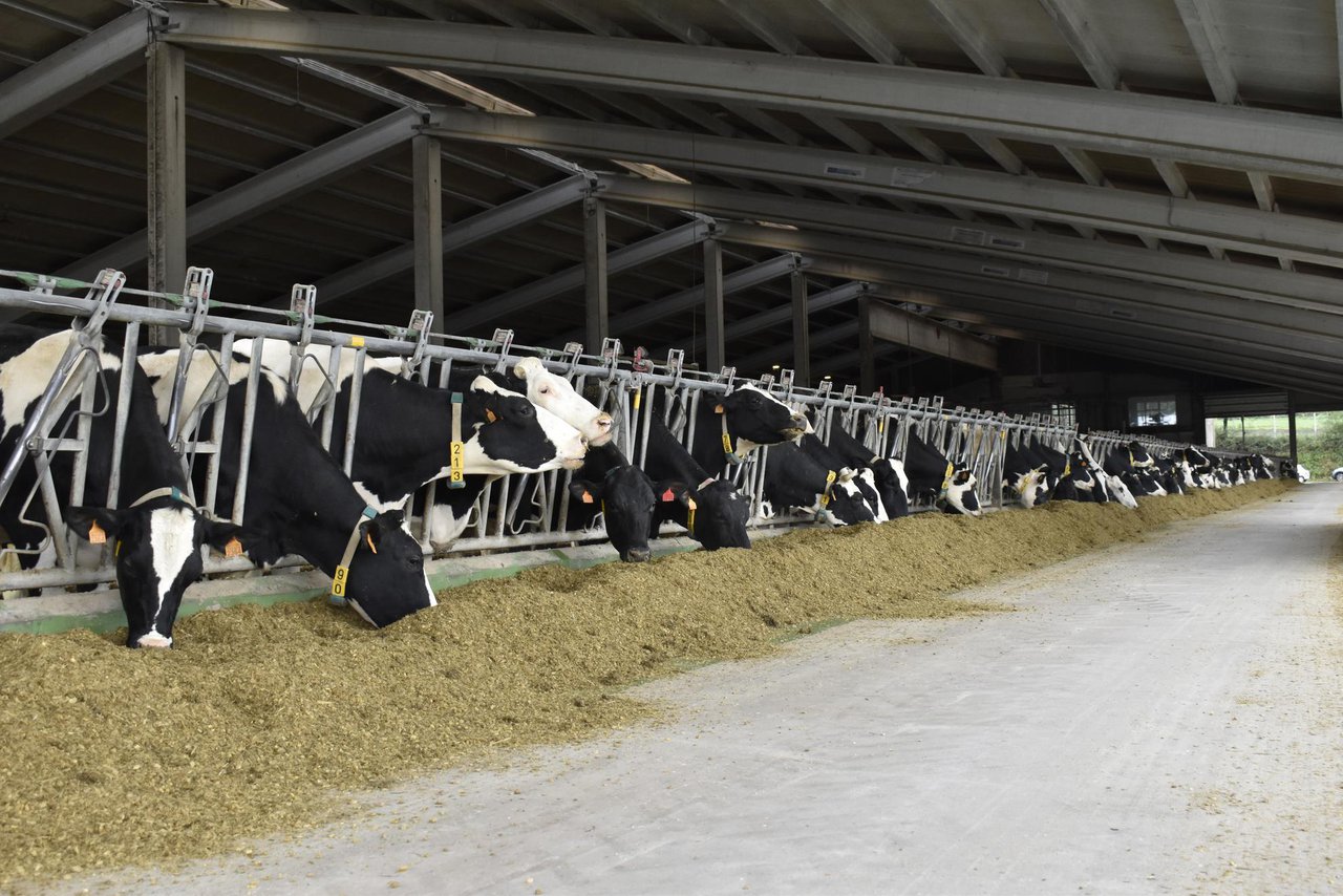 La producción de leche en España aumentó de nuevo en marzo