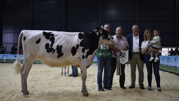 Venturo Chief Link destaca en Xixon como xata campiona no Concurso Rexional de Asturias 2023