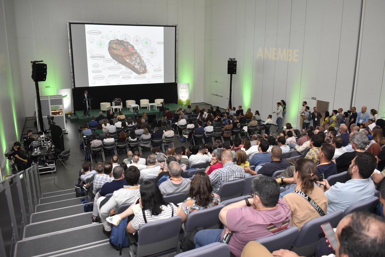 Abierto el plazo de inscripción para el XXVII Congreso Anembe, que se celebrará en Vitoria