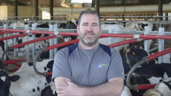 “Cando as vacas se van deitar, non se rozan tanto e, como os cubículos ceden, están máis cómodas”