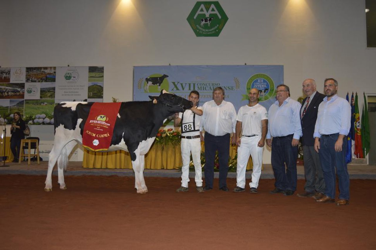 2536 Hugh Octane proclámase xovenca gran campiona en San Miguel