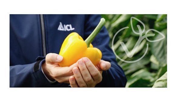 ICL lanza a campaña informativa sobre a trazabilidade dos seus fertilizantes