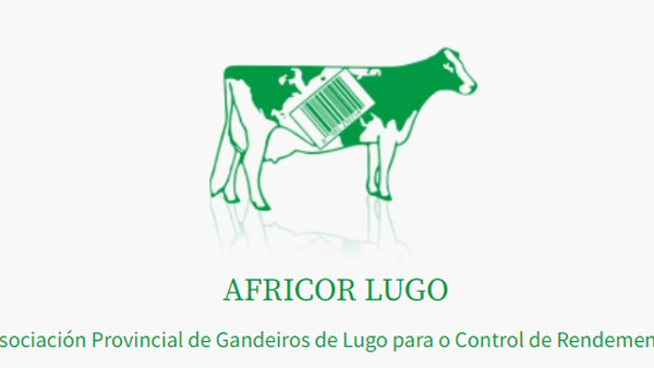 Africor Lugo busca personal