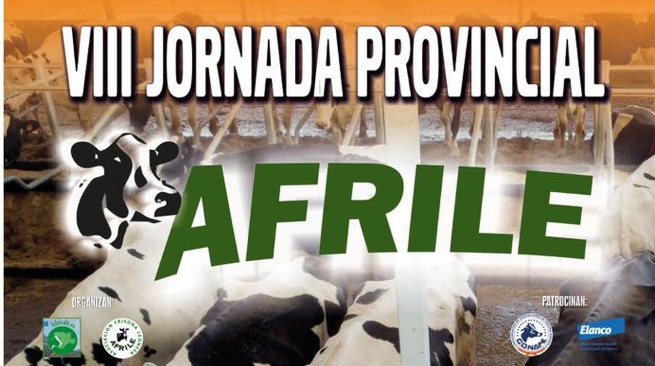 Afrile ofrecerá mañá su oitava xornada provincial