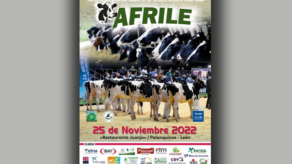 Afrile celebra a súa IX Xornada Provincial o 25 de novembro