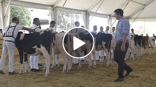 Comeza o show da AgroSemana