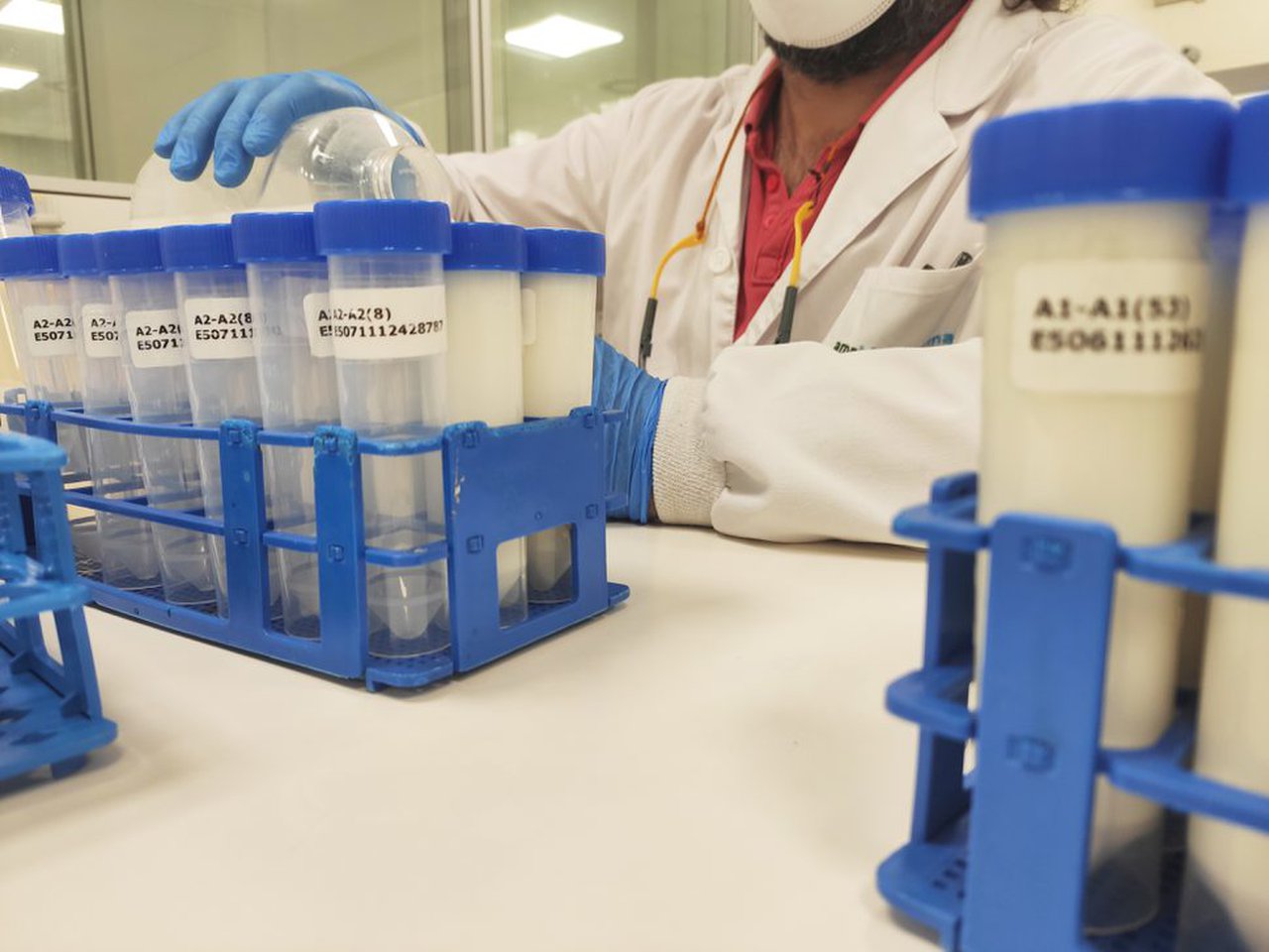 AMSlab lanza un servizo e análise para verificar a presenza da proteína A1 nos produtos lácteos