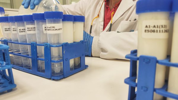 AMSlab lanza un servizo e análise para verificar a presenza da proteína A1 nos produtos lácteos