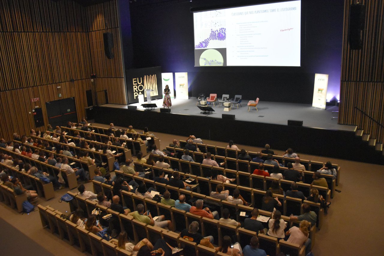 Aberto o prazo de inscricións aos seminarios para as persoas non socias de Anembe