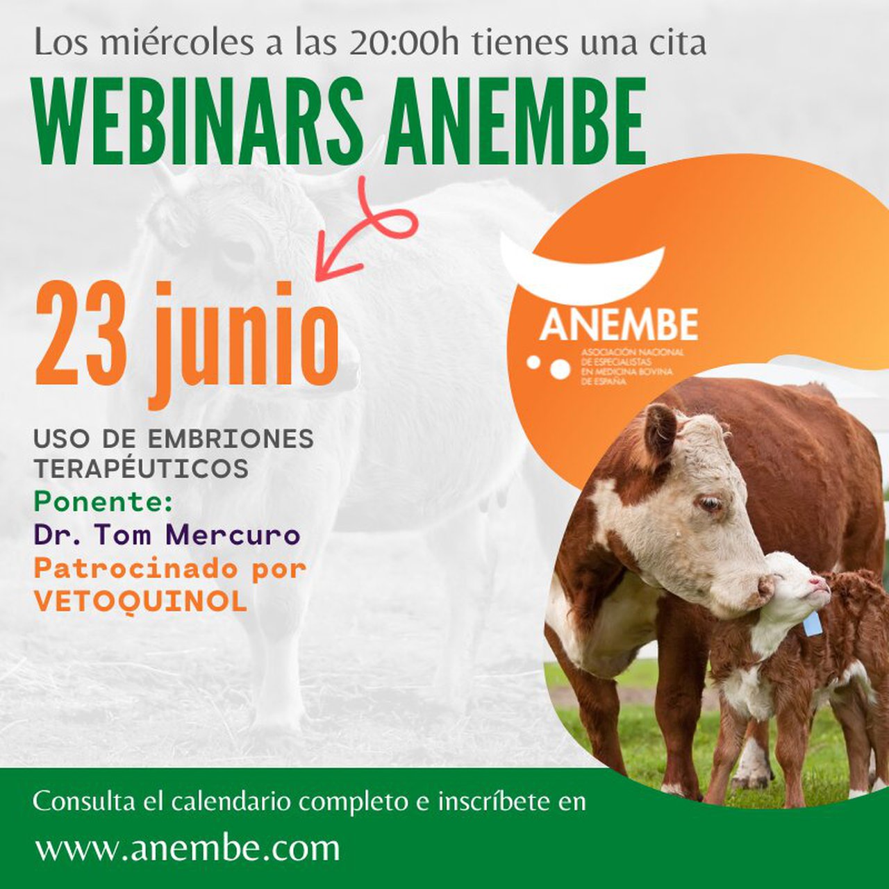 Anembe celebra mañá un novo webinario sobre o uso de embrións terapéutivos
