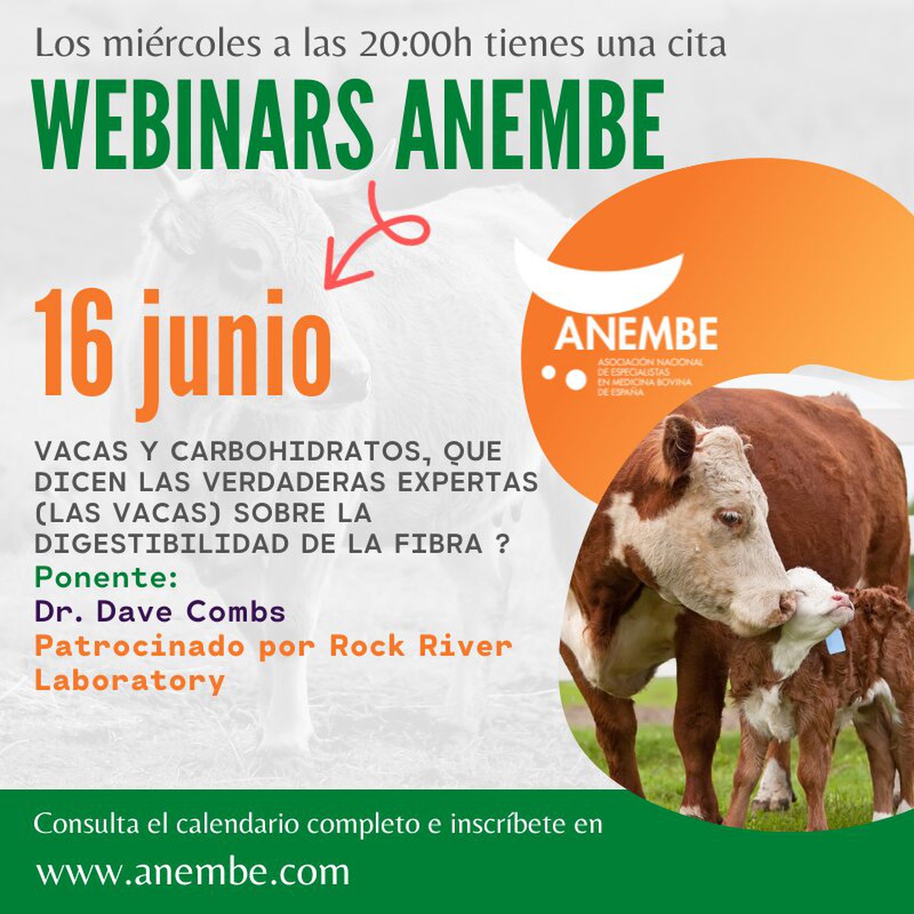 Anembe centra o seu novo seminario na dixestibilidade da fibra