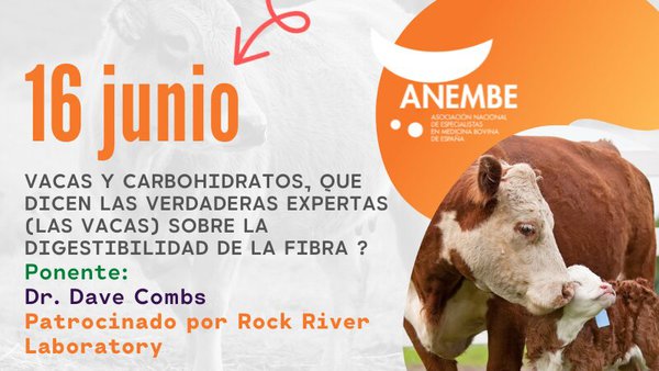 Anembe centra o seu novo seminario na dixestibilidade da fibra