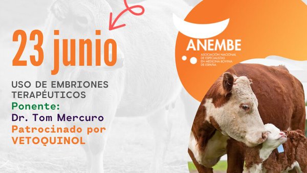 Anembe celebra mañá un novo webinario sobre o uso de embrións terapéutivos