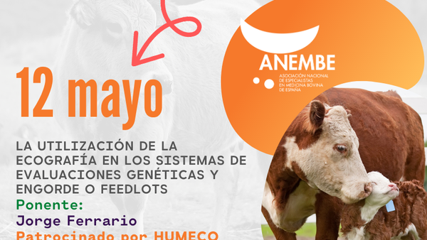 Este mércores, webinario de Anembe sobre a ecografía nos sistemas de avaliacións xenéticas