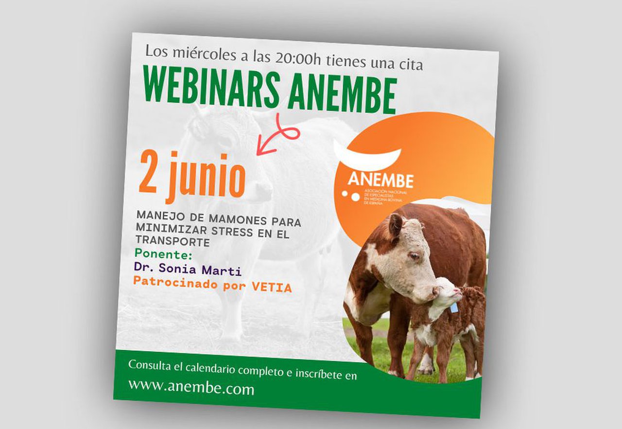 Este mércores, novo webinario de Anembe