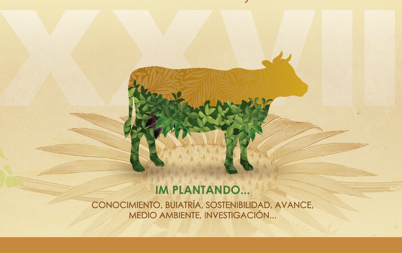 O XXVII Congreso de Anembe, esta semana en Vitoria